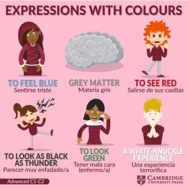 Algunes expresions amb colors.... 
#decoloressevistenloscamposenlaprimavera

Credit: @cambridgespain